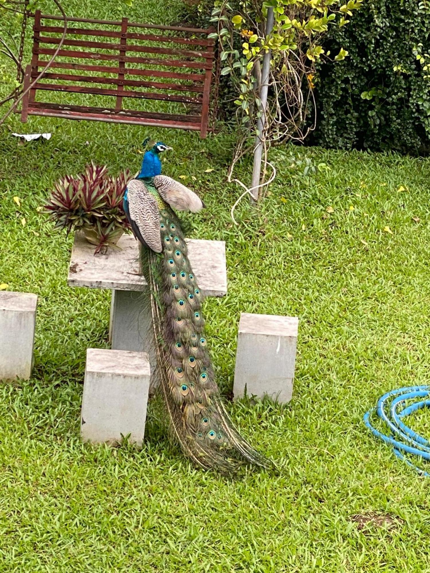 Hotel Waasala Leisure Anuradhapura Zewnętrze zdjęcie