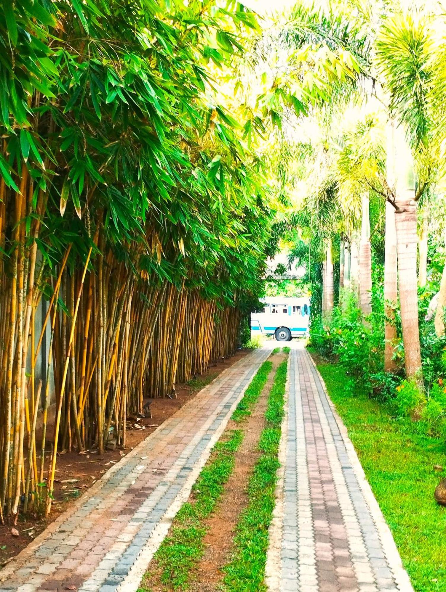 Hotel Waasala Leisure Anuradhapura Zewnętrze zdjęcie